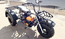 Трицикл СПРИНТ ТРАЙК, на редукторе, колеса 8” (22х11-8’’), 10лс (Боцман)